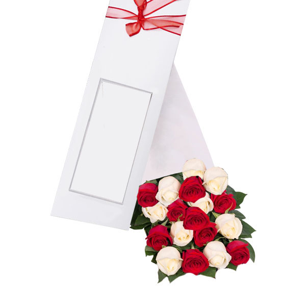 Caja de 18 Rosas Blancas y Rojas - Floresfinas.cl