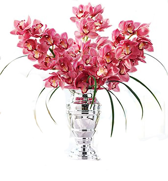 6 Orquideas en Florero Premium