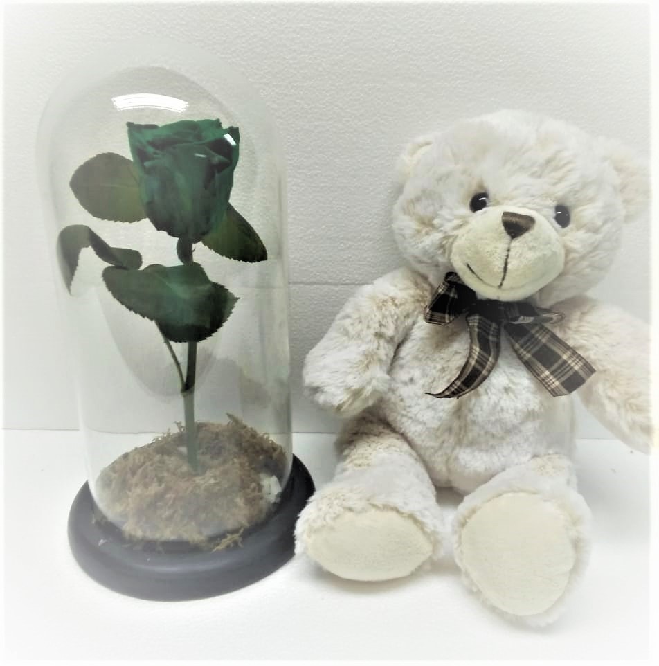 Rosa Preservada con Tallo en Cúpula y Oso Peluche 30 cm