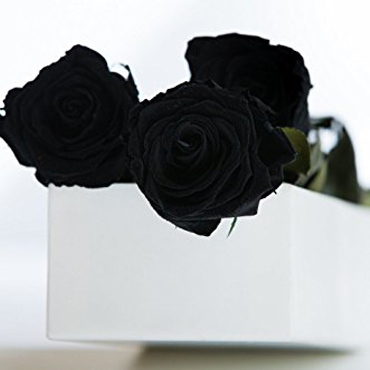 Caja con 12 Rosas Negras