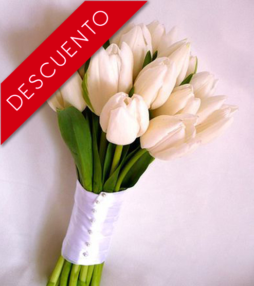 Bouquet de 20 Tulipanes - Floresfinas.cl