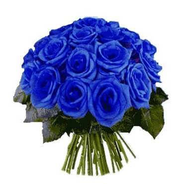 Bouquet en 24 Rosas Azules