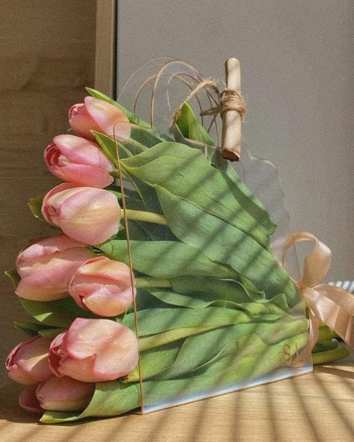 Cartera 10 Tulipanes Graduaci�n